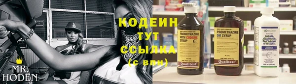 молекула духа Инсар