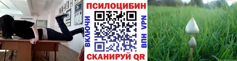 Псилоцибиновые грибы мухоморы ОМГ ОМГ рабочий сайт Избербаш