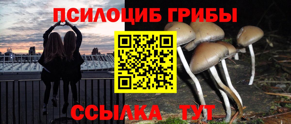 Псилоцибиновые грибы прущие грибы  Галлюциногенные грибы Psilocybe  Избербаш 