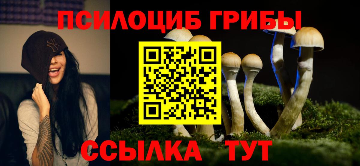 закладка  Псилоцибиновые грибы Psilocybe  Вход с VPN  Избербаш 
